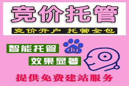 SEM主管案例分析：优化策略